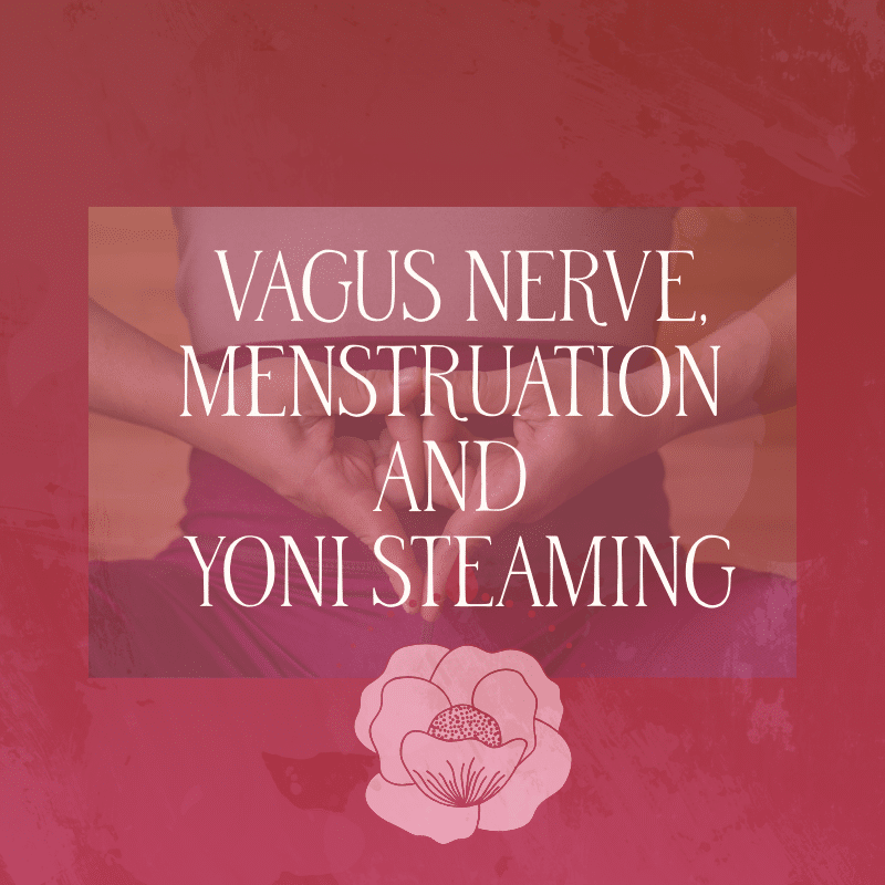 Vagus Nerve and Menstruation